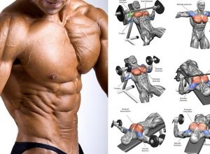 Best Chest Workout: Follow The 9 Chest Exercises best chest workout