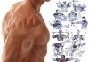 You Can Do 7 Shoulder Workout at Home shoulder workout at home