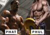What Are PHAT and PHUL Workout and Which One Is Best for You? PHAT and PHUL Workouts