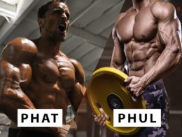 What Are PHAT and PHUL Workout and Which One Is Best for You? PHAT and PHUL Workouts
